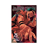 Gege Akutami Jujutsu Kaisen, Vol. 25 (häftad, eng)
