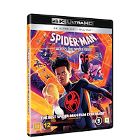 Sony Spider-Man: Across the Spider-Verse