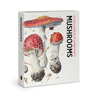 Pomegranate Europe Ltd Mushrooms Knowledge Cards