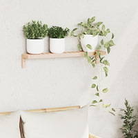 vidaXL Väggmonterad Hylla 62x10x12,5 cm Massivt Trä Valnöt