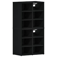 vidaXL Sko Cabinets 2 st Svart ek 52.5x30x50 cm
