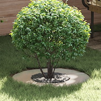 vidaXL Rostfritt Stål Planter Rostfritt Stål Medium Snygg