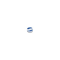 MediaRange MediaRange - CD-R x 25 - 700 MB - lagringsmedier