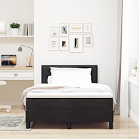vidaXL Boxspring Säng med Madrass Svart 120x200 cm Sammet