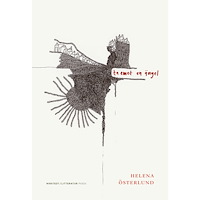 Nirstedt/litteratur Ta emot en ängel (inbunden)