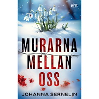 Piratförlaget Murarna mellan oss (inbunden)