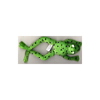 Oxford University Press Read Write Inc. Phonics: Fred Frog Beanie