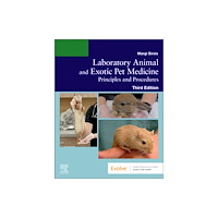 Elsevier - Health Sciences Division Laboratory Animal and Exotic Pet Medicine (häftad, eng)