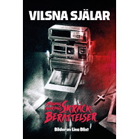 Berghs Magnus Nordins skräckberättelser: Vilsna själar (inbunden)