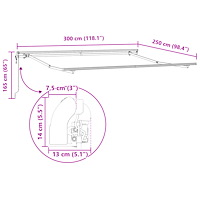 vidaXL Automatisk Utdragbar Markis Svart 300x250 cm
