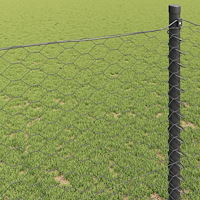 vidaXL Hexagonstaket Grå 0.8x50 m Stål