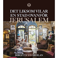 Birgitta Yavari-Ilan Det liksom vilar en stad ovanför: Jerusalem (häftad)