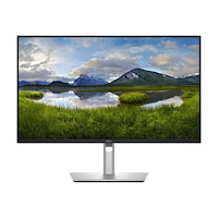 DELL Dell Pro 24 Plus QHD USB-C Hub Monitor P2425DE - LED-skärm - QHD - 24"