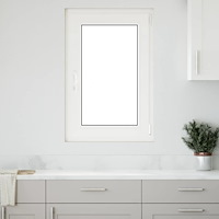 vidaXL Källarfönster "RISOR" 60x100 cm Tilt- och vridfönster DIN höger antracit