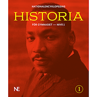 Johan Eriksson NE Historia för gymnasiet : nivå 1 (häftad)