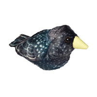 Wild Republic WR Bird With Sound STARLING