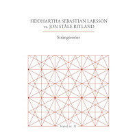 Siddhartha Sebastian Larsson Strängteorier (häftad)