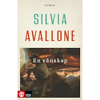 Silvia Avallone En vänskap (pocket)