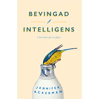 Jennifer Ackerman Bevingad intelligens : I huvudet på en fågel (pocket)