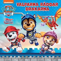 Paw Patrol Paw Patrol : Valparna räddar drakarna