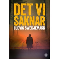 Ludvig Swedjemark Det vi saknar (bok, danskt band)