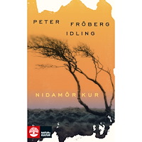Peter Fröberg Idling Nidamörkur (pocket)