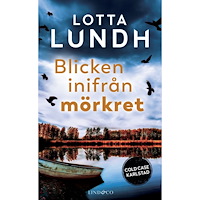 Lotta Lundh Blicken inifrån mörkret (pocket)