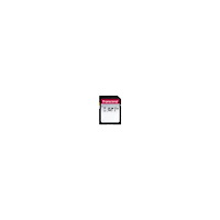 Transcend Transcend 300S - flash-minneskort - 256 GB - SDXC UHS-I
