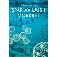 Thérèse V Yachnin Spår av ljus i mörkret (bok, danskt band)
