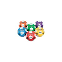 [NORDIC Brands] Fotbollsset Stl4 olika färger 6/fp