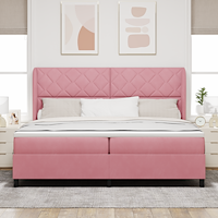vidaXL Bäddfjäder med huvudgavel Rosa 200 x 200 cm Sammet