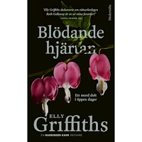 Modernista Blödande hjärtan (pocket)