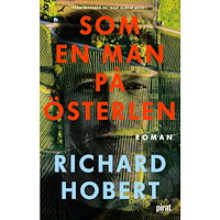 Richard Hobert Som en man på Österlen (pocket)