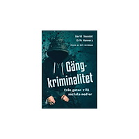 David Sausdal Gängkriminalitet : Från gatan till sociala medier (häftad)