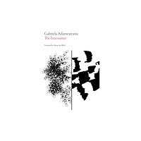 Dalkey Archive Press The Encounter (häftad, eng)