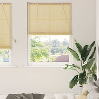 vidaXL Fönsterpersienner & Gardiner Naturfärg 120 x 220 cm Bambu