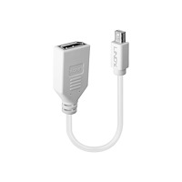 Lindy Lindy - DisplayPort-adapter - Mini DisplayPort till DisplayPort - 15 cm