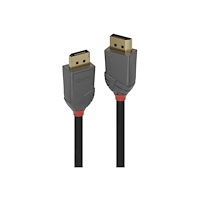 Lindy Lindy Anthra Line - DisplayPort-kabel - DisplayPort till DisplayPort - 1 m