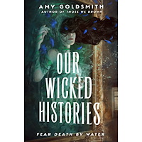 Amy Goldsmith Our Wicked Histories (häftad, eng)