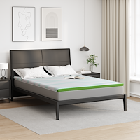 vidaXL Madrasskydd Övrigt Vit och grön 160 x 200 cm