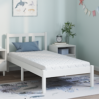 vidaXL Madrass med kokoslager Vit 160 x 80 cm PU skum
