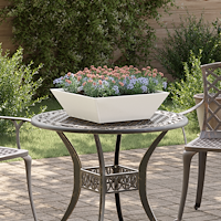 vidaXL Trädgårds Skål Planter 5 pcs Vit 50 x 50 x 15 cm Stål