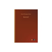 Outlook Verlag Bannertail (häftad, eng)