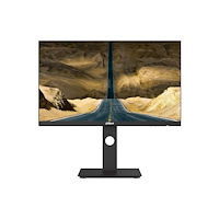 DAHUA Dahua DHI-LM27-P301A - LED-skärm - QHD - 27"