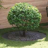 vidaXL Svart Planter Set Svart Plast Stor Hållbar Svart Planter Rund