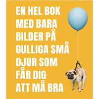 Tukan Förlag En hel bok med bara bilder på gulliga små djur som får dig a (inbunden)