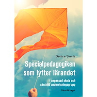 Denice Sverla Specialpedagogiken som lyfter lärandet : i anpassad skola och särskild undervisningsgrupp (häftad)
