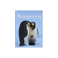 Usborne Publishing Ltd Antarctica (inbunden, eng)