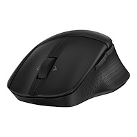 Hewlett-Packard HP 480 - mus - komfort, fullstorlek - Bluetooth 5.3 - svart