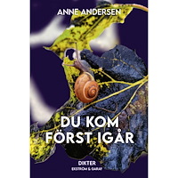 Anne Andersen Du kom först igår (bok, danskt band)